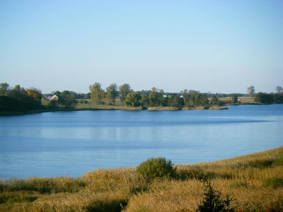Jezioro Brdowskie otoczone lasami